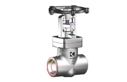 Forged Gate Valve
