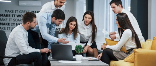 immerze creations digital marketing agency in indore